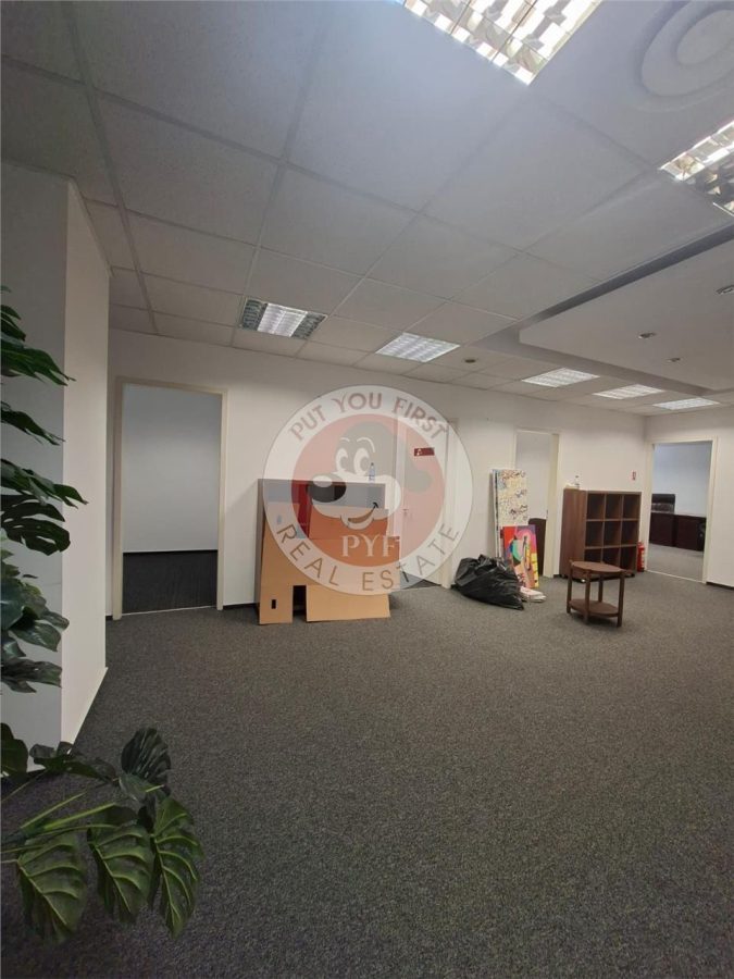 Cismigiu | Birouri clasa A | 337mp | Amenajat | B13122 - foto 3