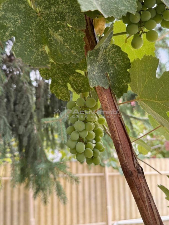 Casa Cocheta, 3 Camere, Curte Proprie, Timpuri Noi-Mihai Bravu, 7 min Metrou - foto 22