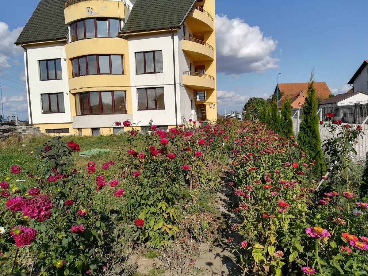 inchirieri Apartamente in casa 2 camere - Brasov