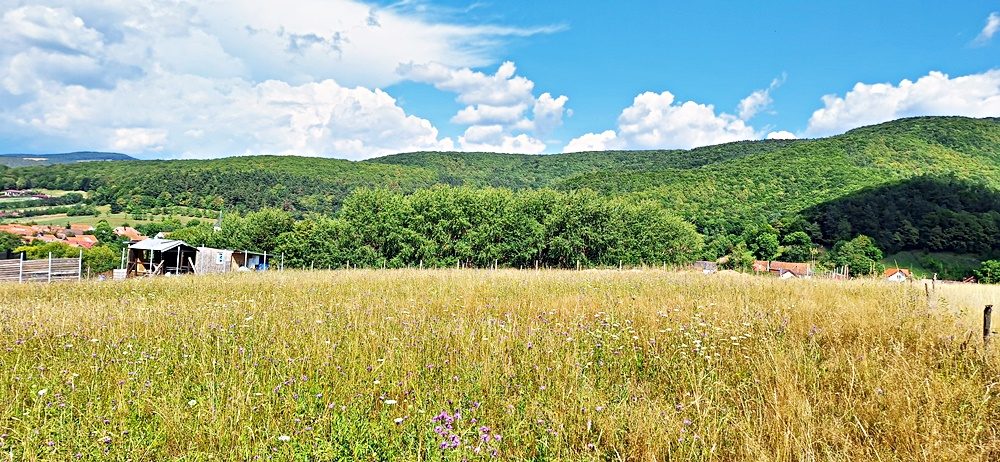La 24 km de Brasov teren superb de 2010mp cu utilitati - foto 3