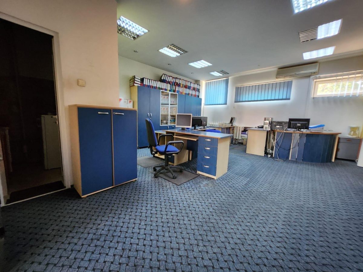 Spatii de birouri, 123 mp, ultracentral, etaj 1 - foto 2