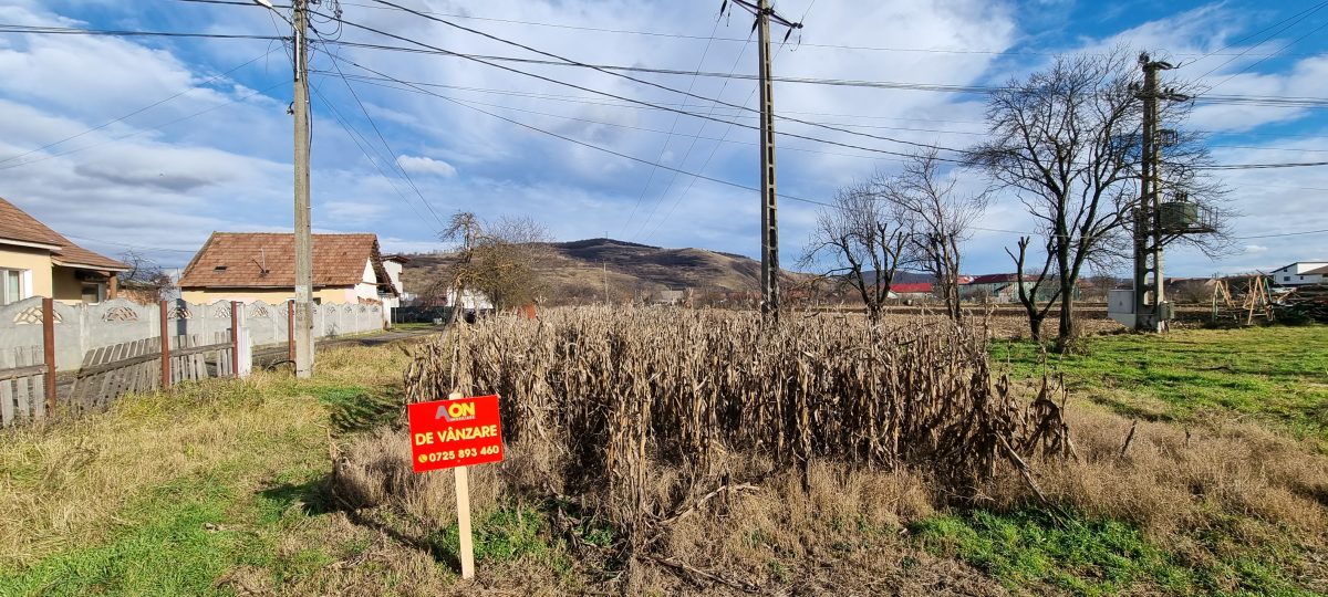 De vanzare 1929mp teren intravilan cu utilitati, Sard - Alba Iulia