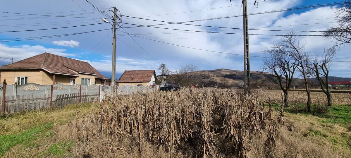 De vanzare 1929mp teren intravilan cu utilitati, Sard - foto 2