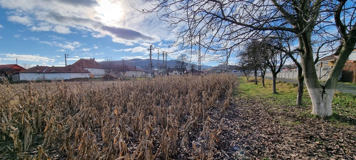 De vanzare 1929mp teren intravilan cu utilitati, Sard - foto 3