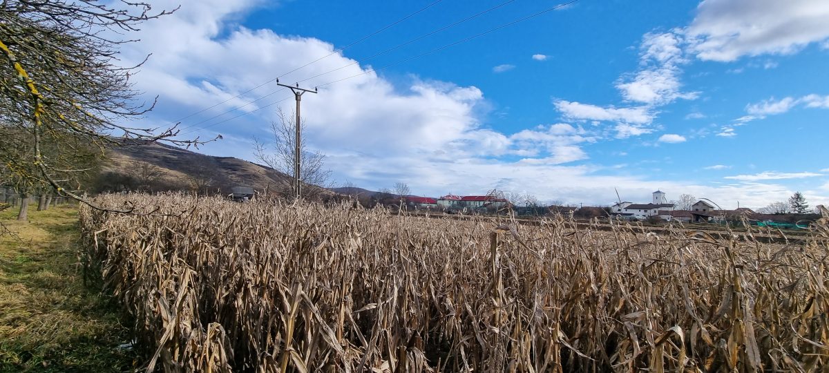 De vanzare 1929mp teren intravilan cu utilitati, Sard - foto 4