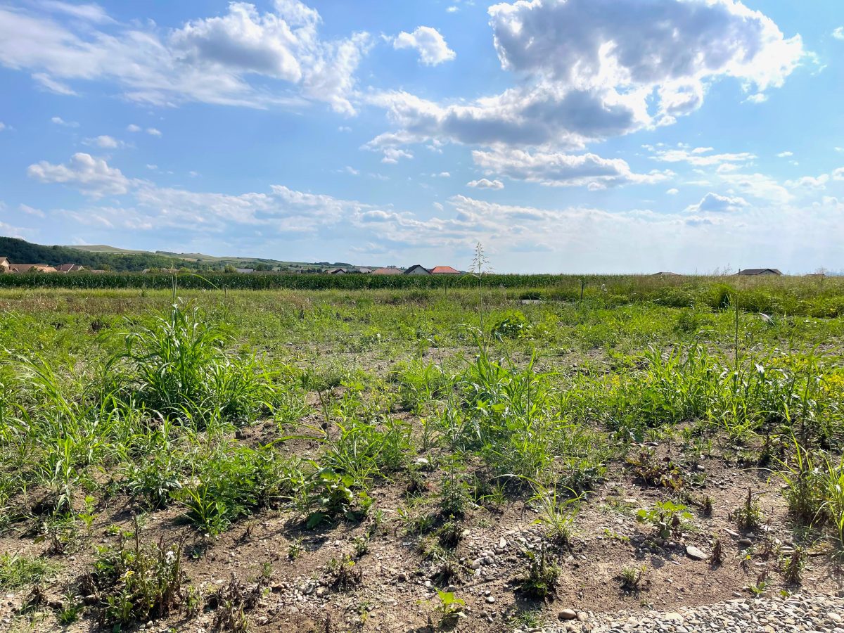 Teren de vanzare in Comuna Ciugud, 800MP - Ciugud