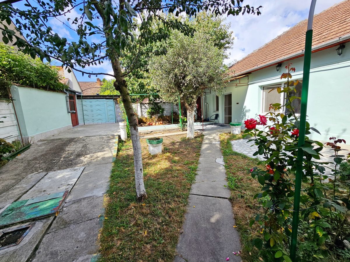 Casa 5 camere, 369 mp teren, zona Centru, pretabila pentru birouri - foto 2