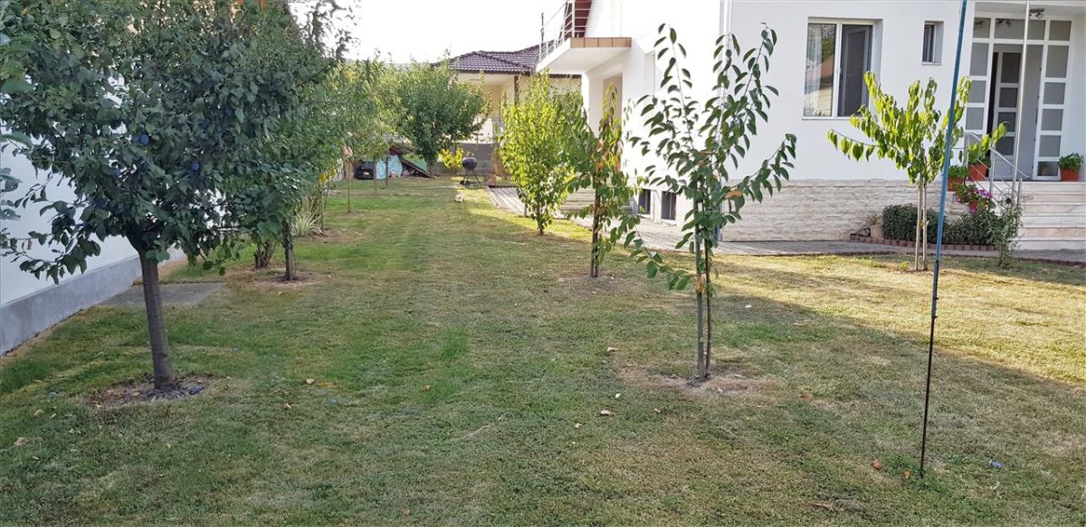 Casa  5 camere  2 garaje  780 mp teren Zona Schit - foto 4