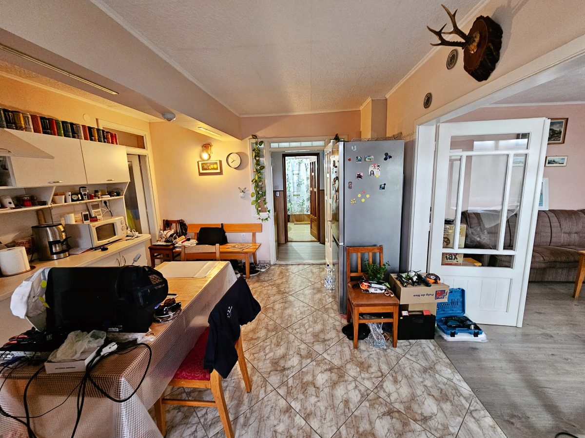 Casa 3 camere, 1000 teren la asfalt, Barabant - foto 4