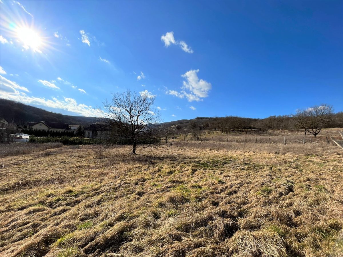 Teren de vanzare, toate utilitatile, 946mp - foto 2