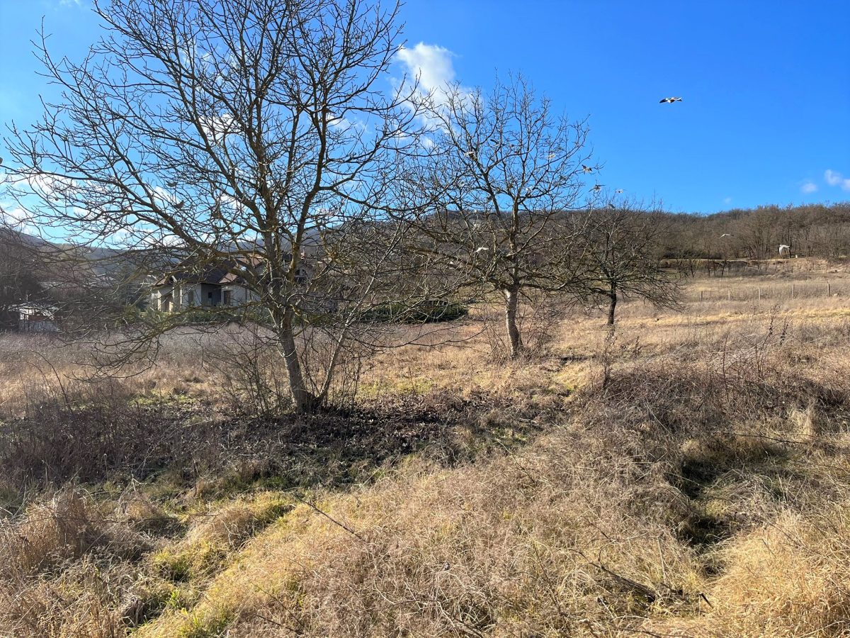 Teren de vanzare, toate utilitatile, 946mp - foto 3