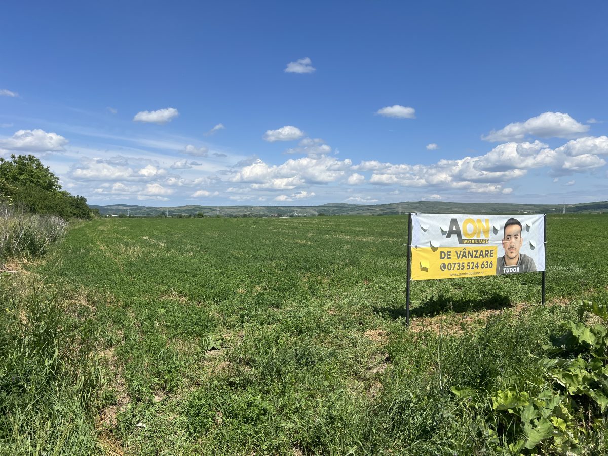 Teren de vanzare, 25.561mp in zona Soseaua de Centura, 58ml deschidere - foto 2