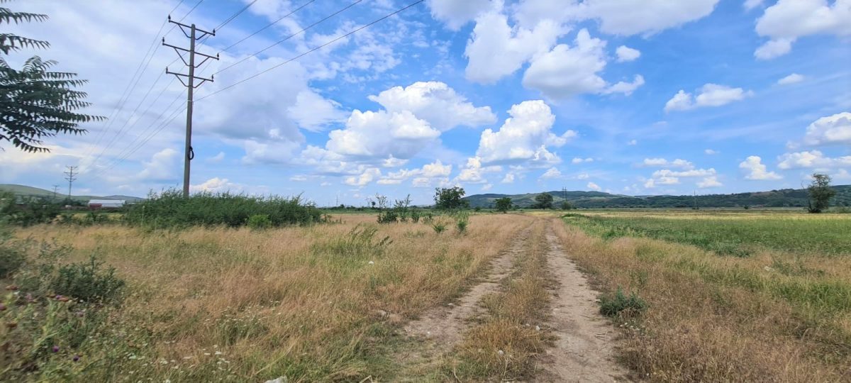 Teren de Vanzare, 1440MP, Zona Centura - foto 2