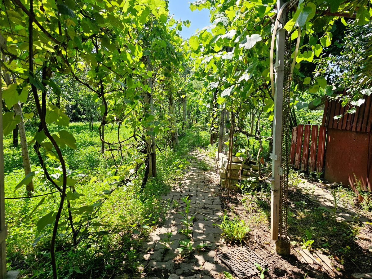 Casa cu 2 corpuri de cladire, 744 mp teren, toate utilitatile, Micesti - foto 4