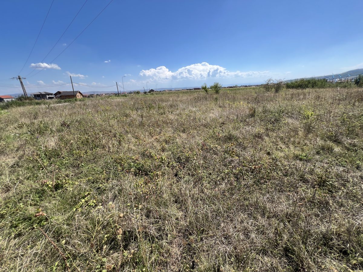 Teren intravilan cu toate utilitatile, 24ml deschidere, zona Micesti - foto 2