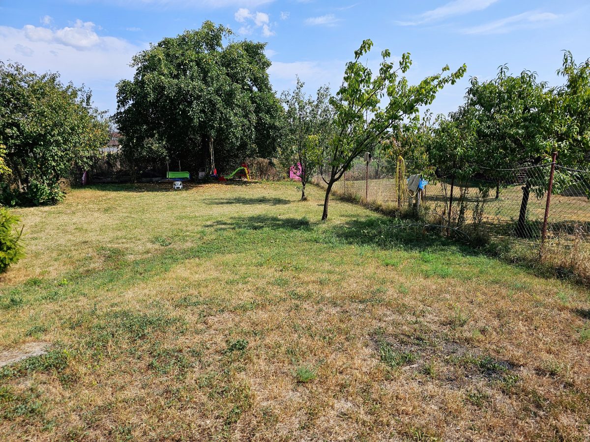 Casa 4 camere, 2 bai, 2 bucatarii, 1050 mp teren, zona Centru - foto 2