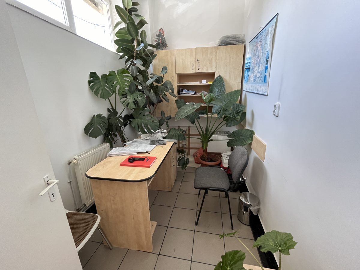 Spatiu Comercial, 110mp Utili, Calea Motilor - foto 4