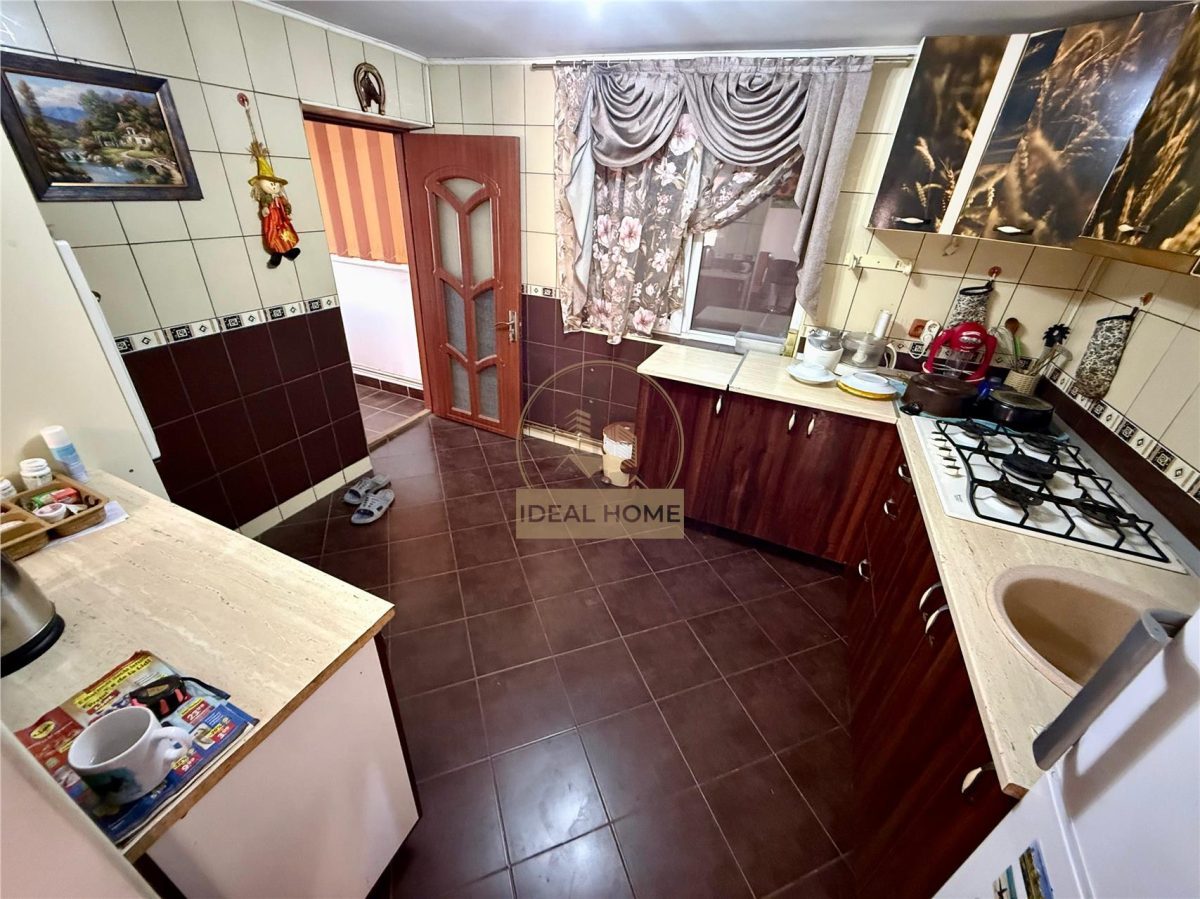 Lunca Cetatuii - Casa individuala 4 camere - la 200 m de Drumul judetean - foto 11