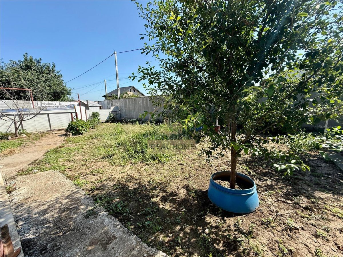 Lunca Cetatuii - Casa individuala 4 camere - la 200 m de Drumul judetean - foto 17