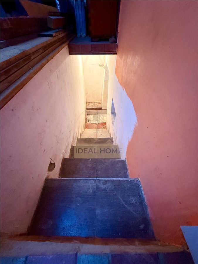 Lunca Cetatuii - Casa individuala 4 camere - la 200 m de Drumul judetean - foto 19