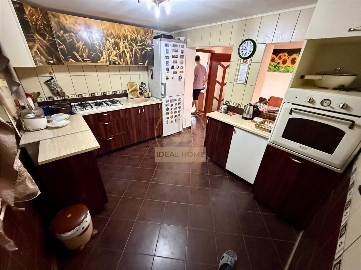 Lunca Cetatuii - Casa individuala 4 camere - la 200 m de Drumul judetean - foto 10