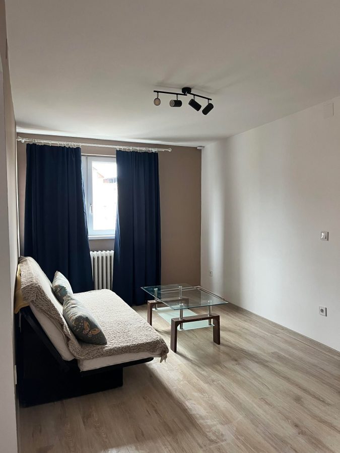 Apartament 2 camere - foto 2