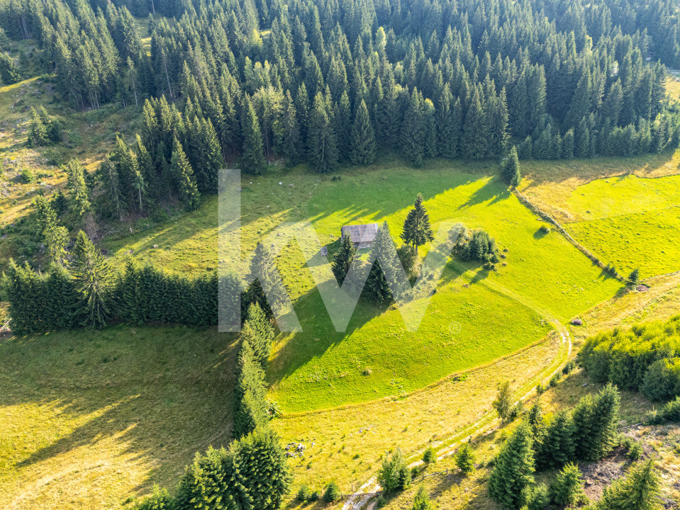 Teren Fundata, Brasov, intravilan, extravilan. COMISION 0% pret bun - foto 2