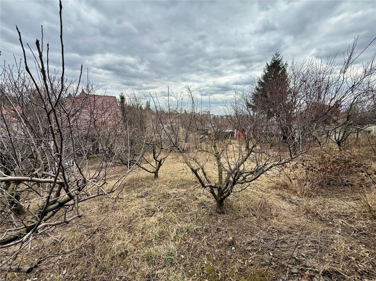 Casa cu Teren de 1481 MP - Iasi - Galata/Nicolina - foto 3