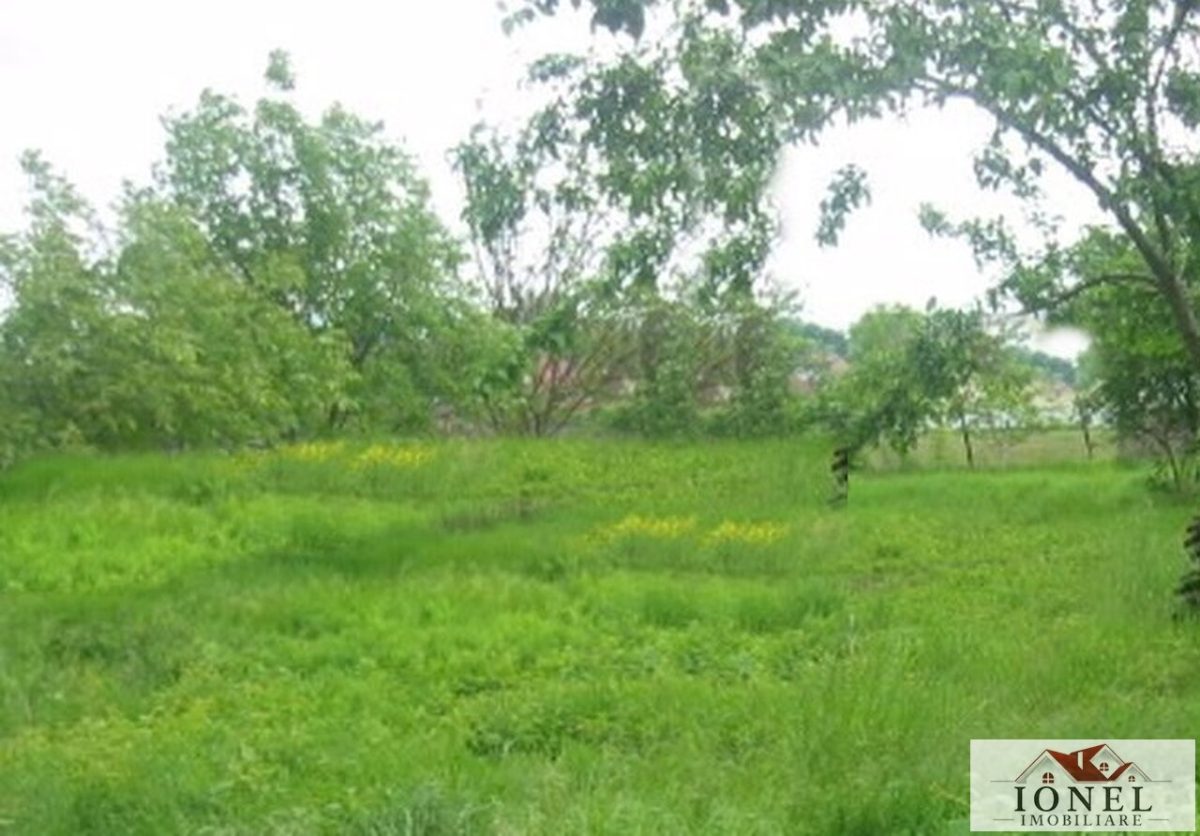 Teren intravilan de vanzare in Vintu de Jos - Vintu de Jos