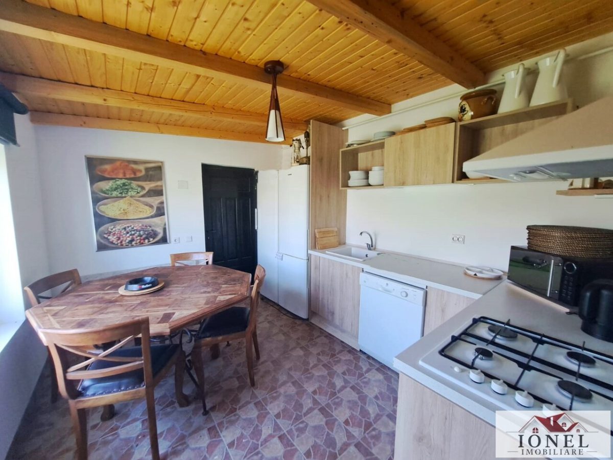 Casa de vanzare in Lunca Muresului - Gura Ariesului - 