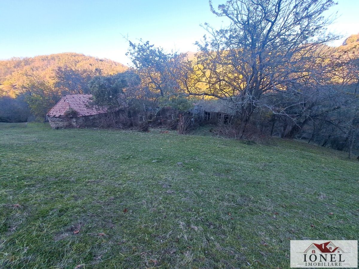 Vanzare casa cu 17399 mp  teren  Vintu de Jos - Valea Vintului - Vintu de Jos