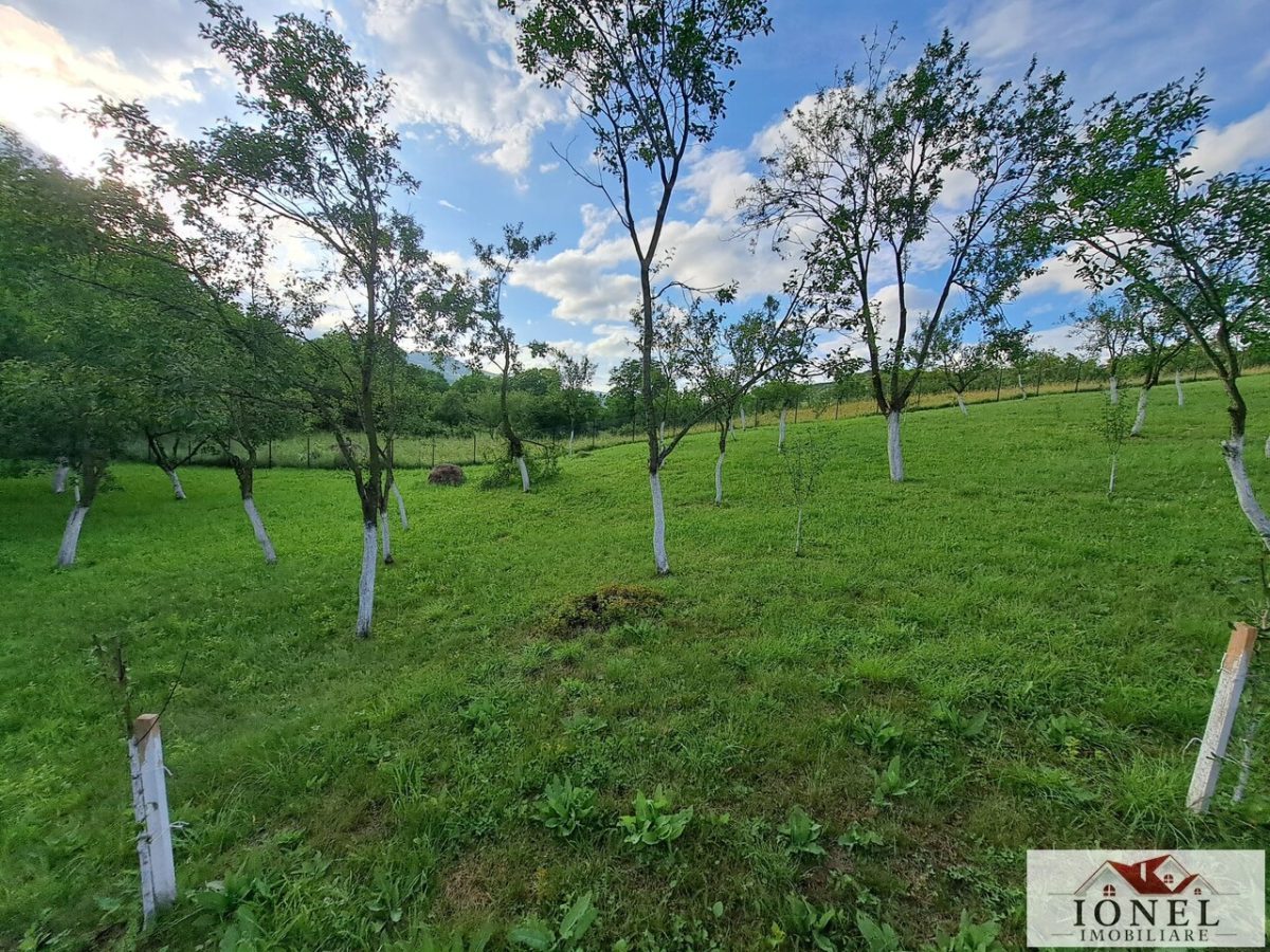 Vanzare teren in Benic - 