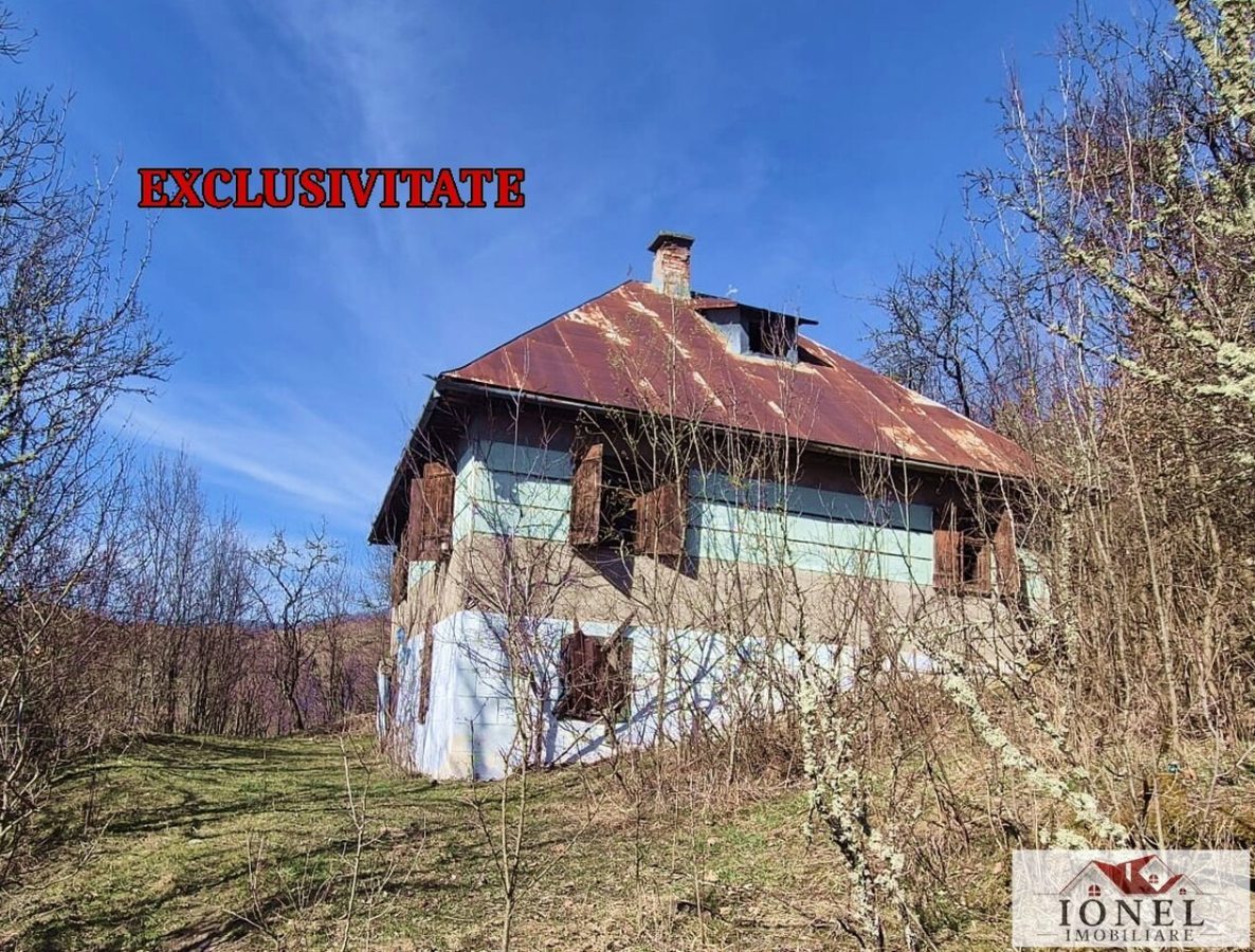 Casa de vanzare in Bistra - Apuseni - 
