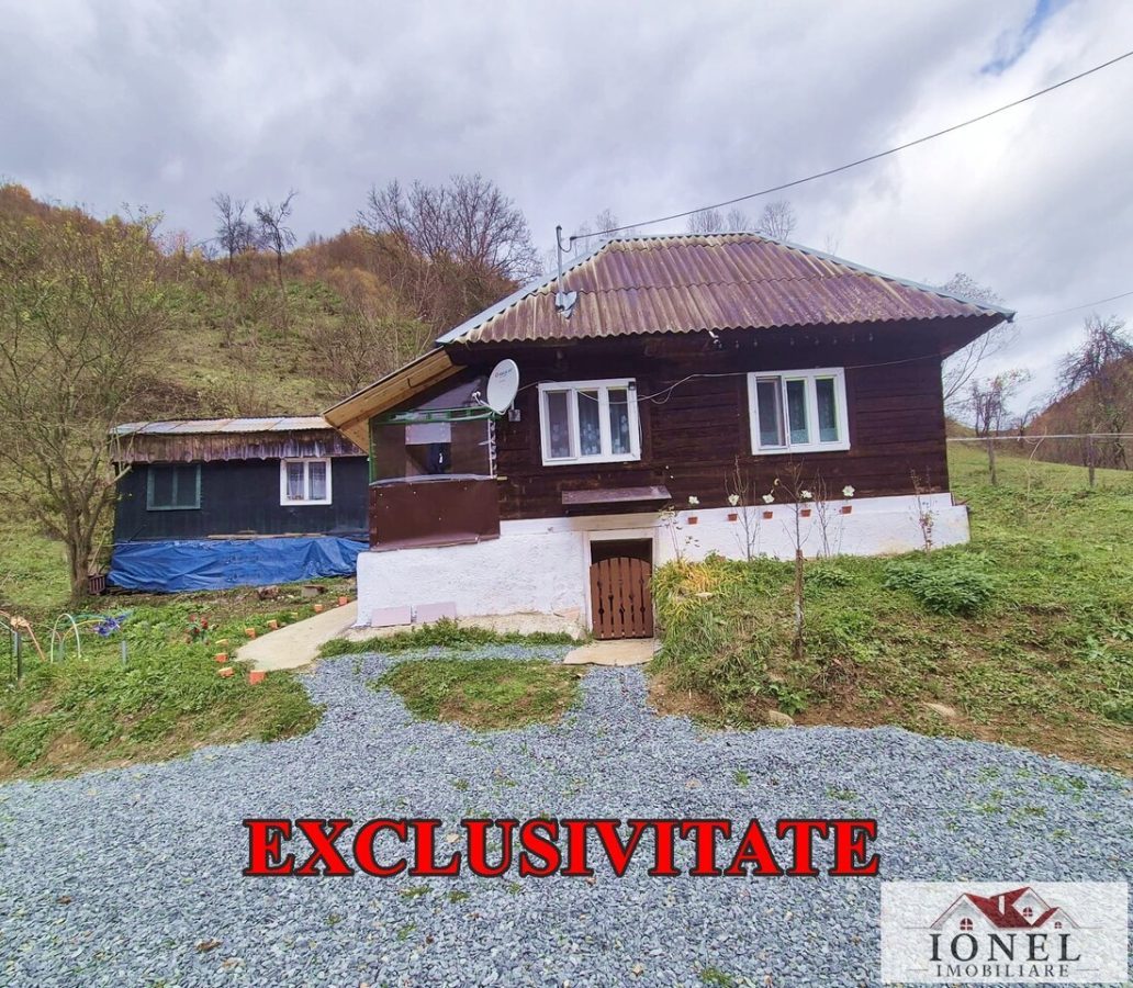 Casa de vanzare in Bistra - 