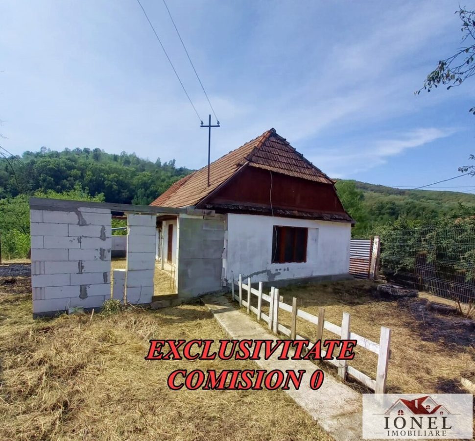 Casa de vanzare in Miraslau - Ormenis - 