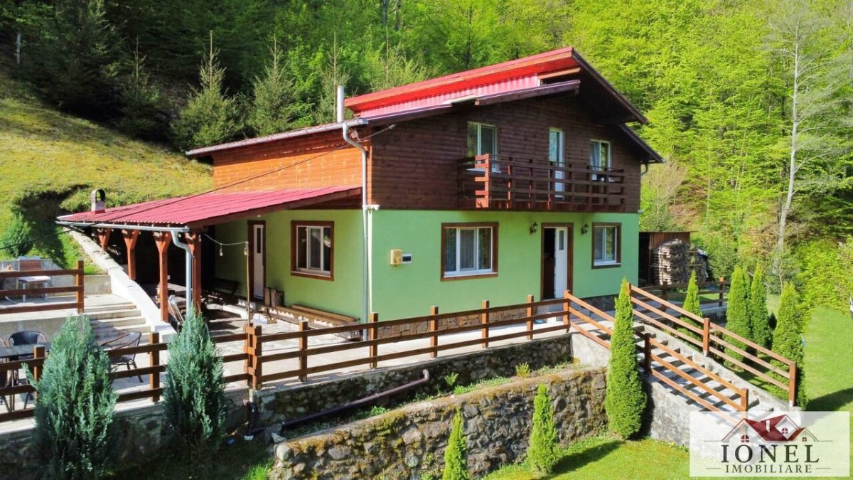 Casa de  de vanzare in Pianu- Strungari - 