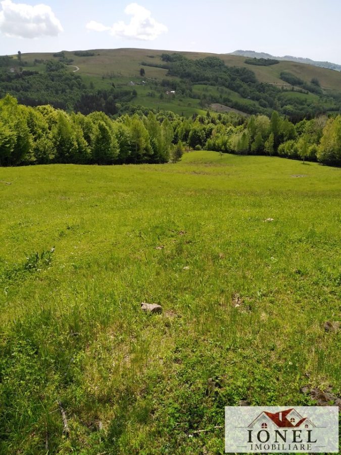 Teren in suprafata de 41.136 mp de vanzare in zona Abrud - 