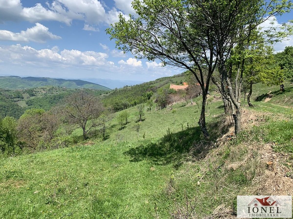 Teren extravilan 41.136 mp de vanzare in Abrud - Seliste - 