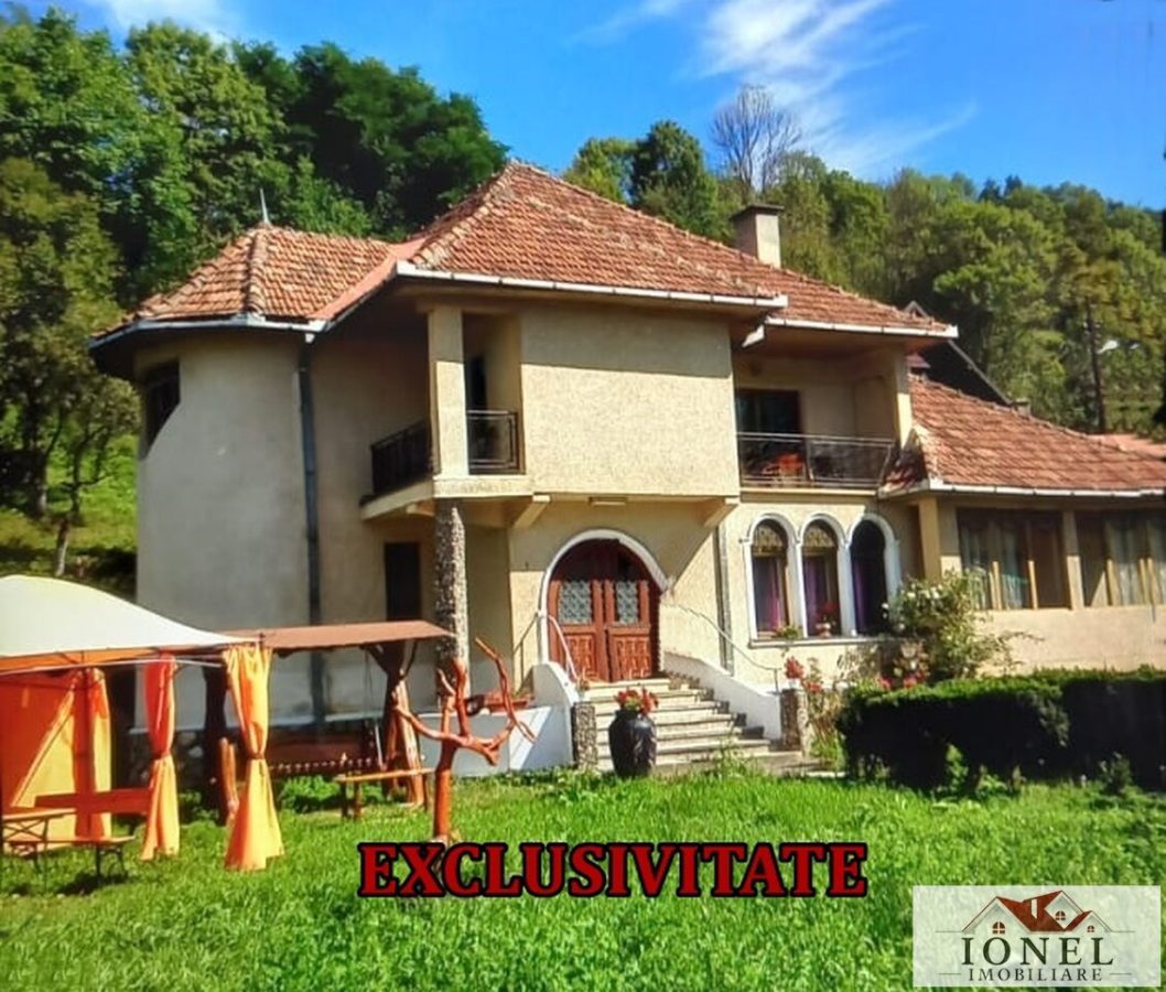 Vanzare casa in Abrud - 