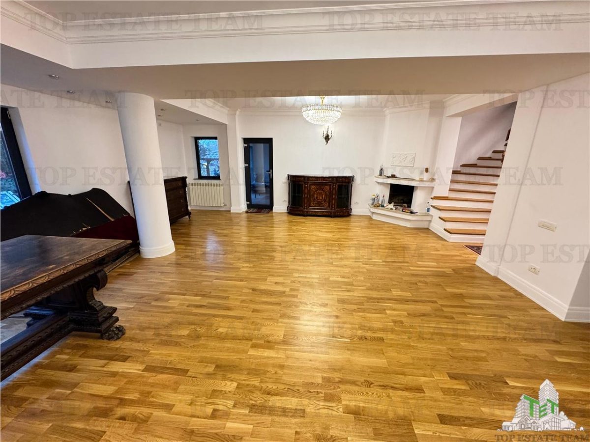 Vila pretabila rezidenta/office Iancu Nicolae - foto 2