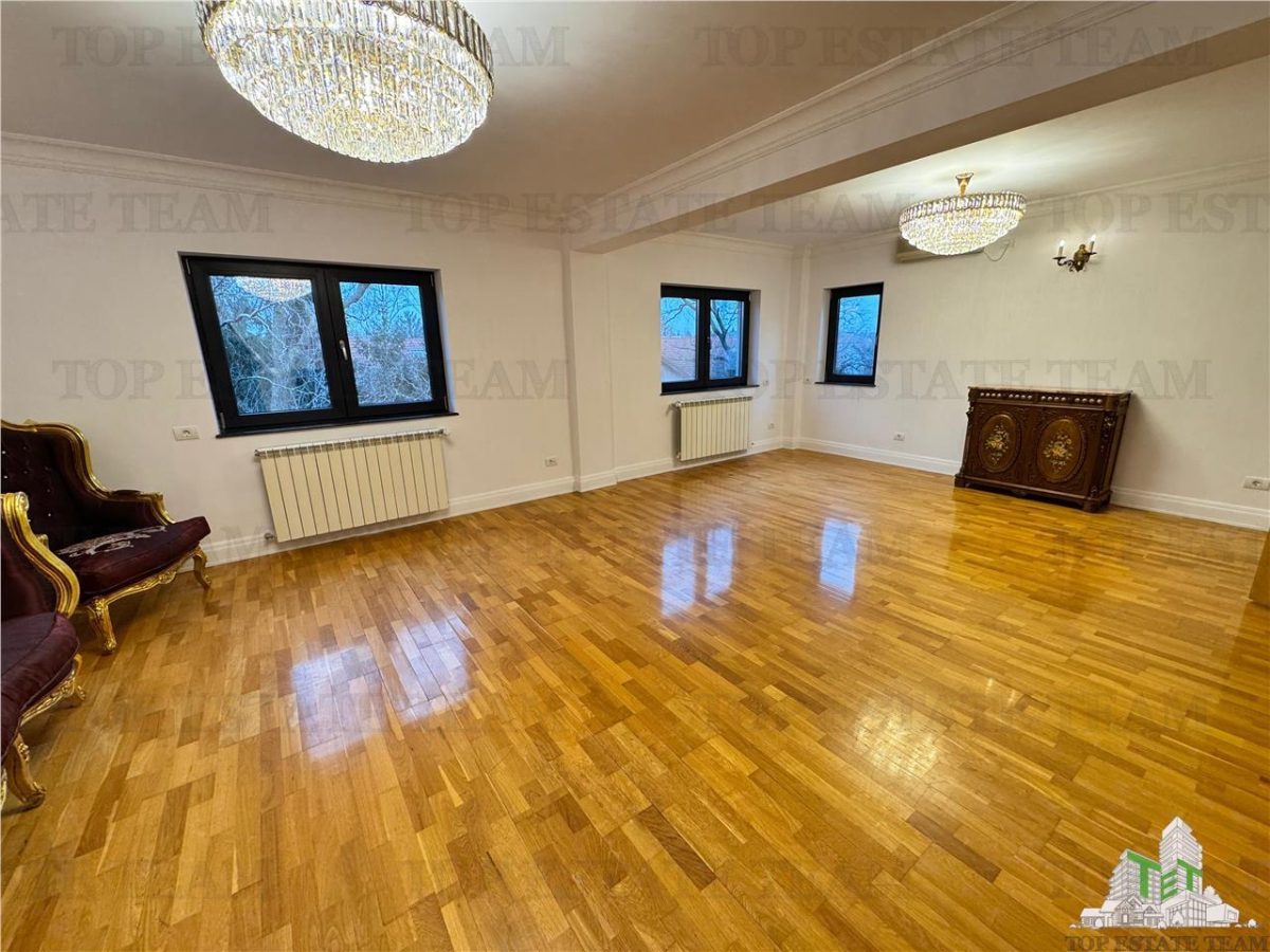 Vila pretabila rezidenta/office Iancu Nicolae - foto 13