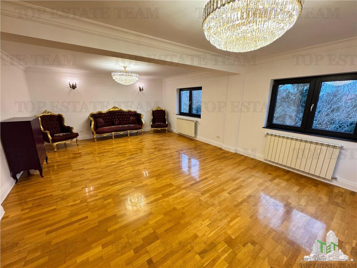 Vila pretabila rezidenta/office Iancu Nicolae - foto 14