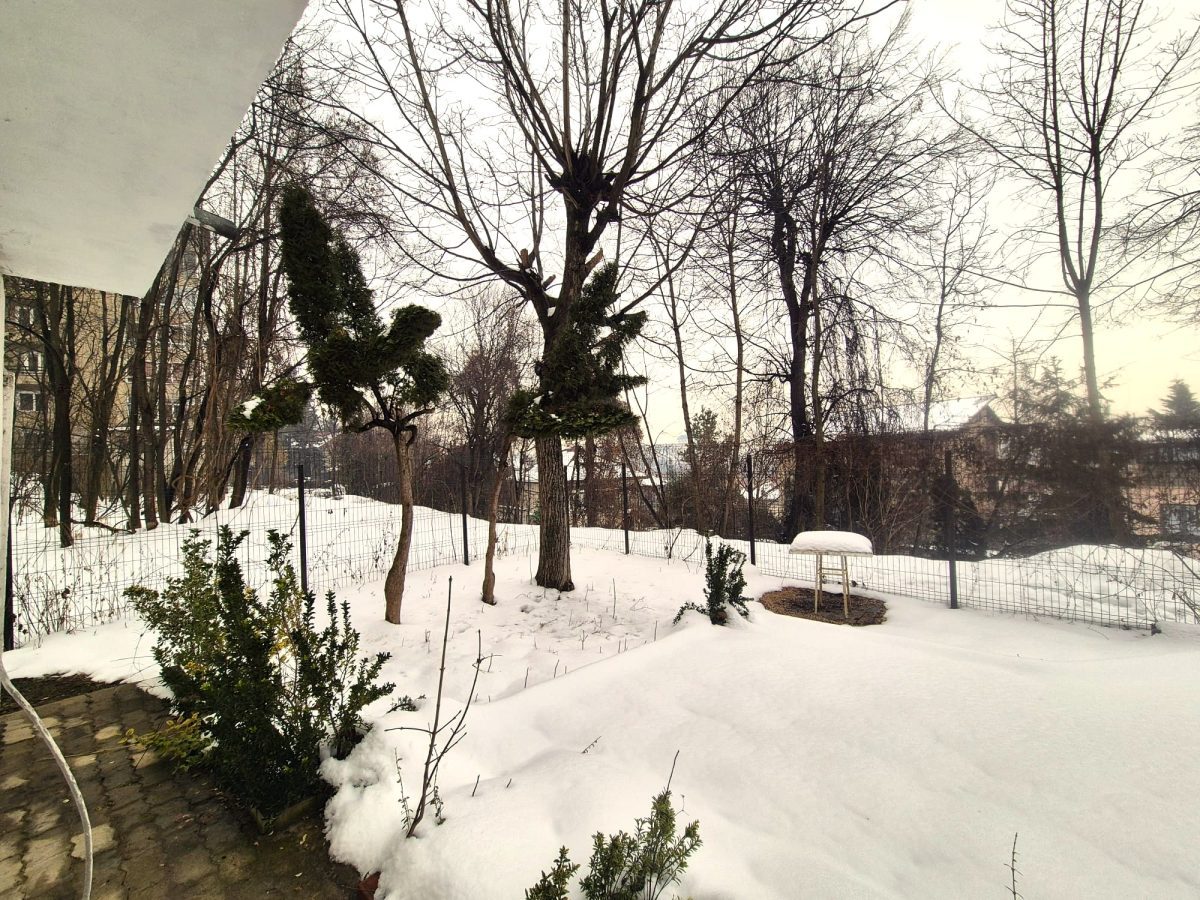 Ultracentral, apartament in casa, pretabil locuit / birouri, pet friendly. - foto 2