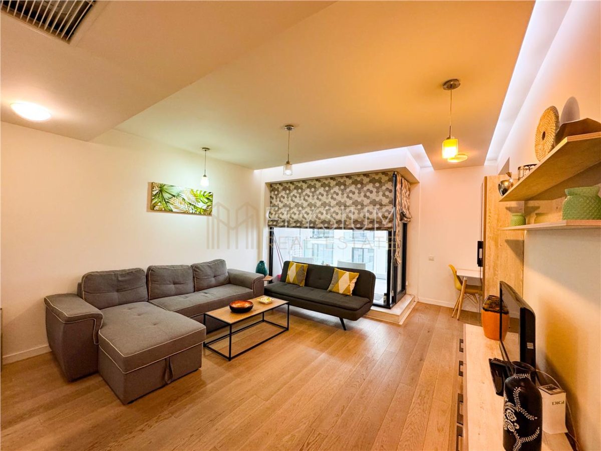 Apartament de inchiriat 2 camere One Herastrau Plaza - 