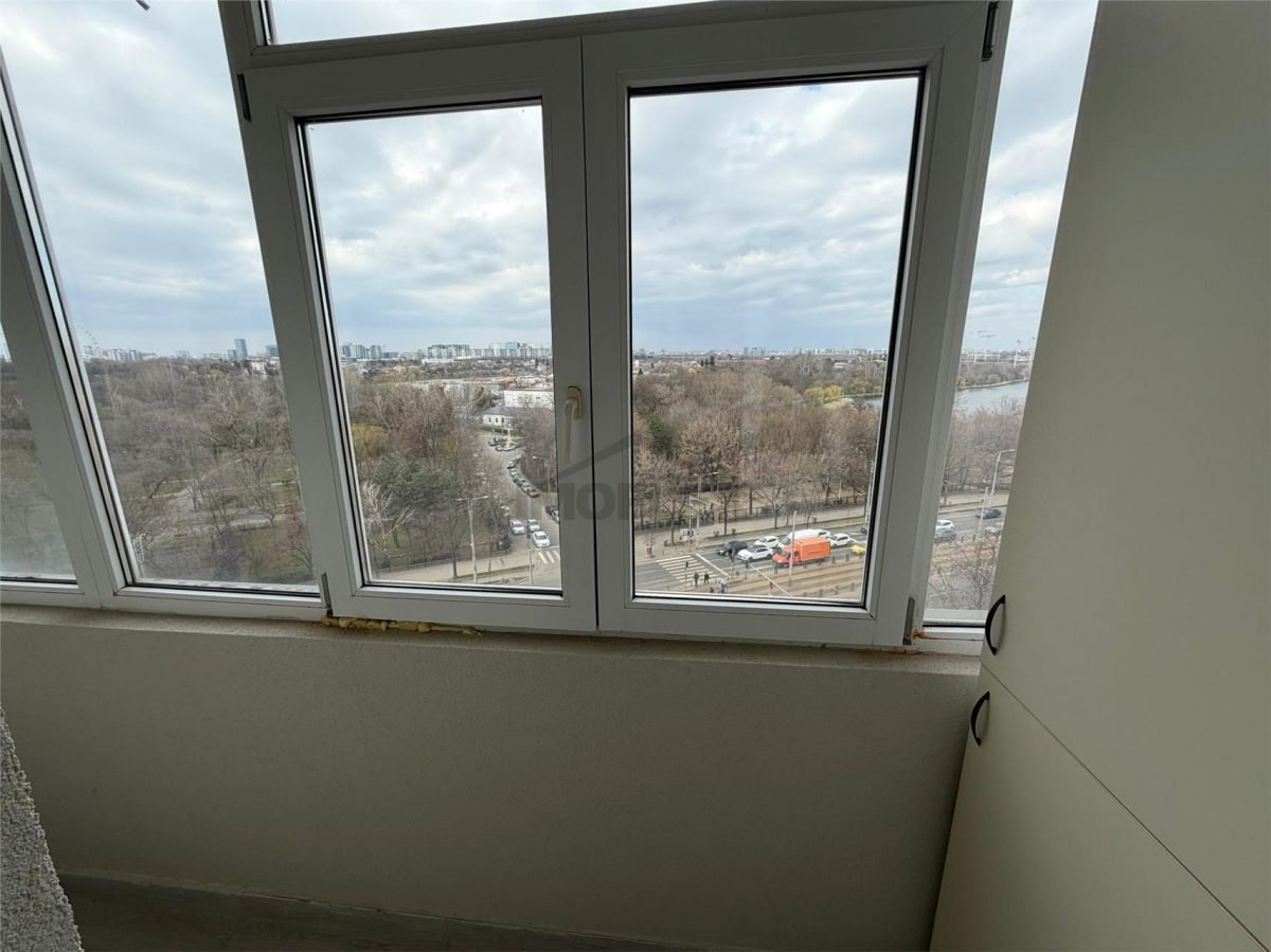 Comision 0! Studio modern Vedere panoramica la lac Lacul Plumbuita - foto 19