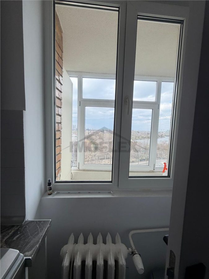 Comision 0! Studio modern Vedere panoramica la lac Lacul Plumbuita - foto 21