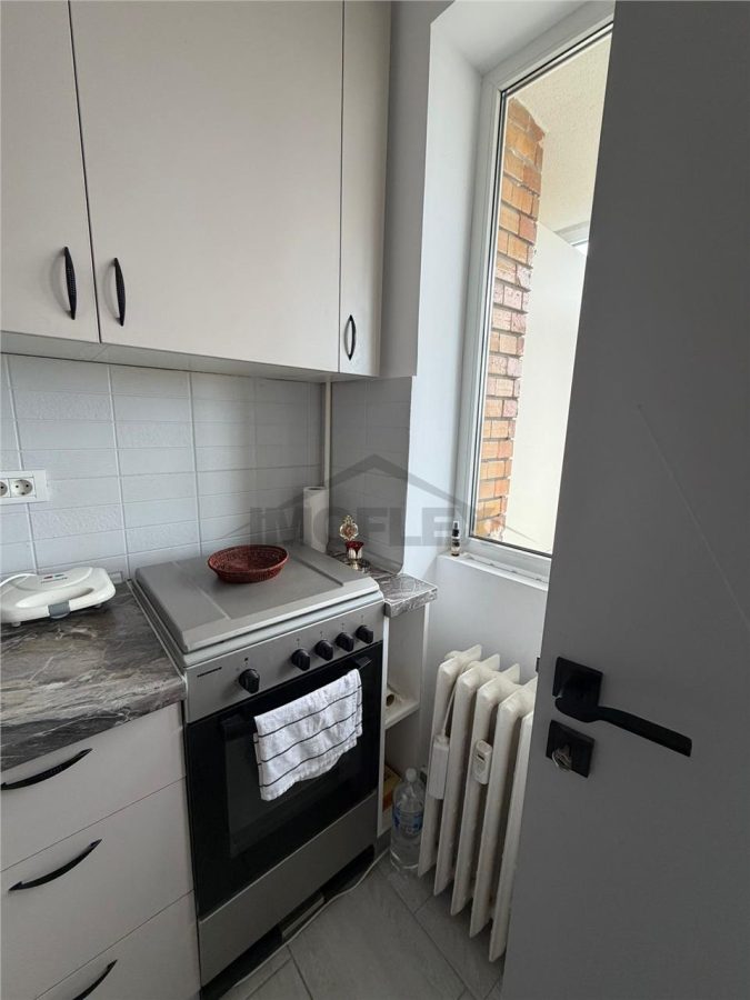 Comision 0! Studio modern Vedere panoramica la lac Lacul Plumbuita - foto 22