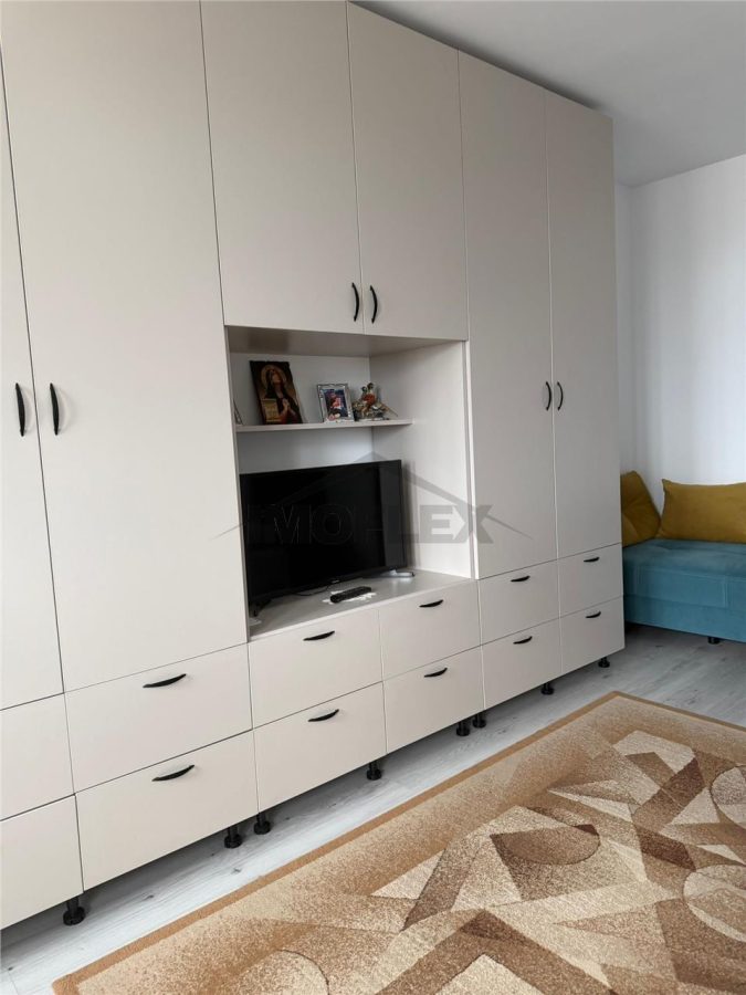 Comision 0! Studio modern Vedere panoramica la lac Lacul Plumbuita - foto 7