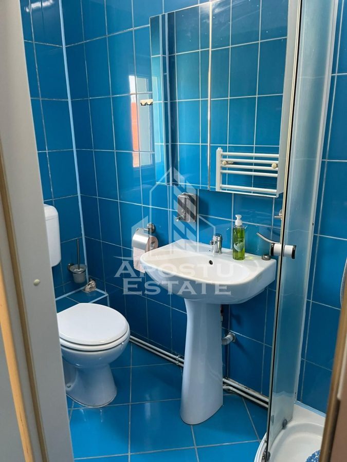 Apartament cu 1 camera de inchiriat, zona Aradului, Timisoara - foto 6