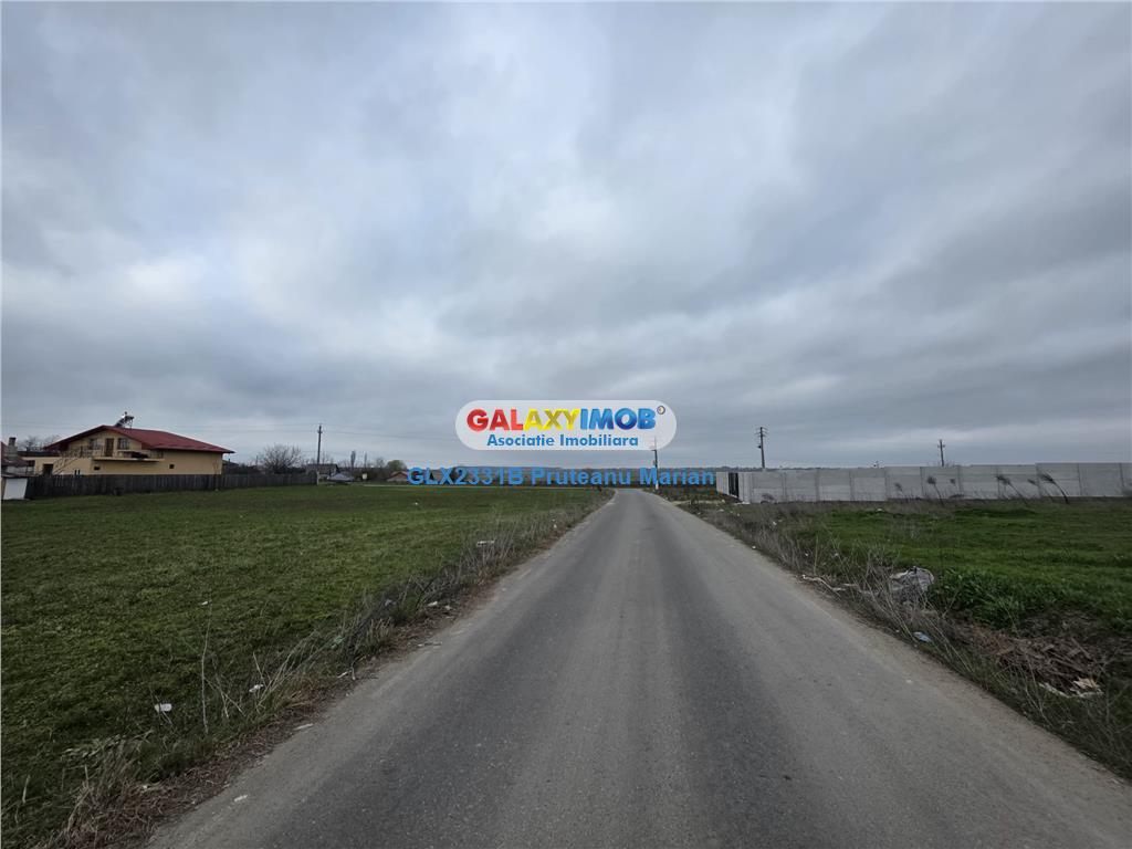 Vanzare lot de teren 1700 mp in apropriere de lac si padurea Cernica - foto 4